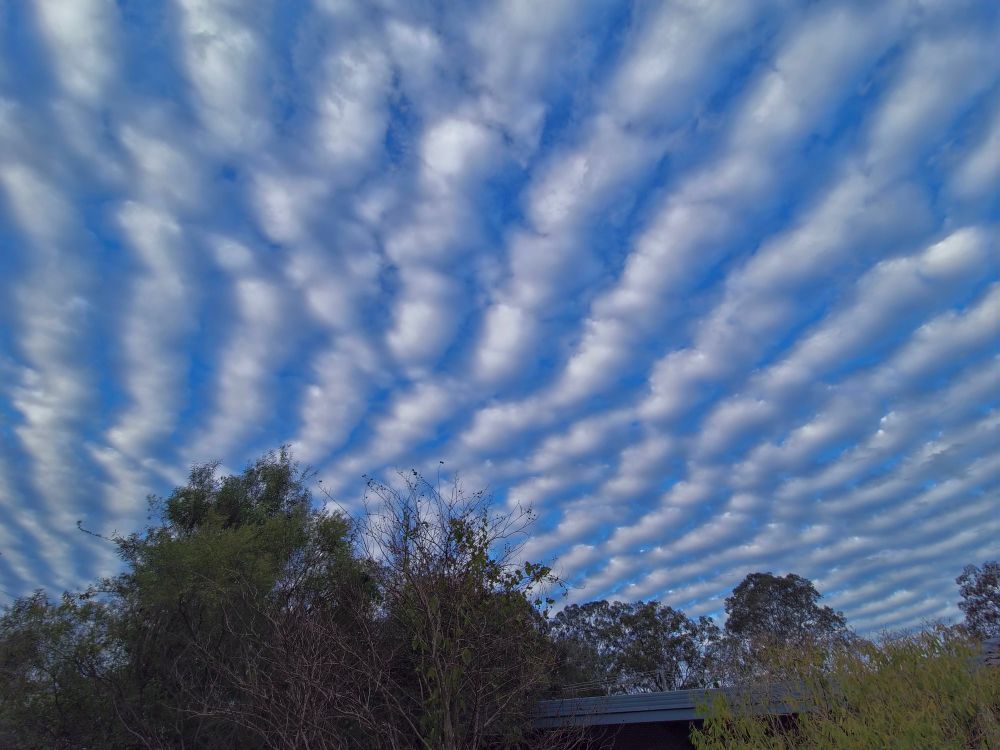Rows of white cloud with blue sky between the rows.