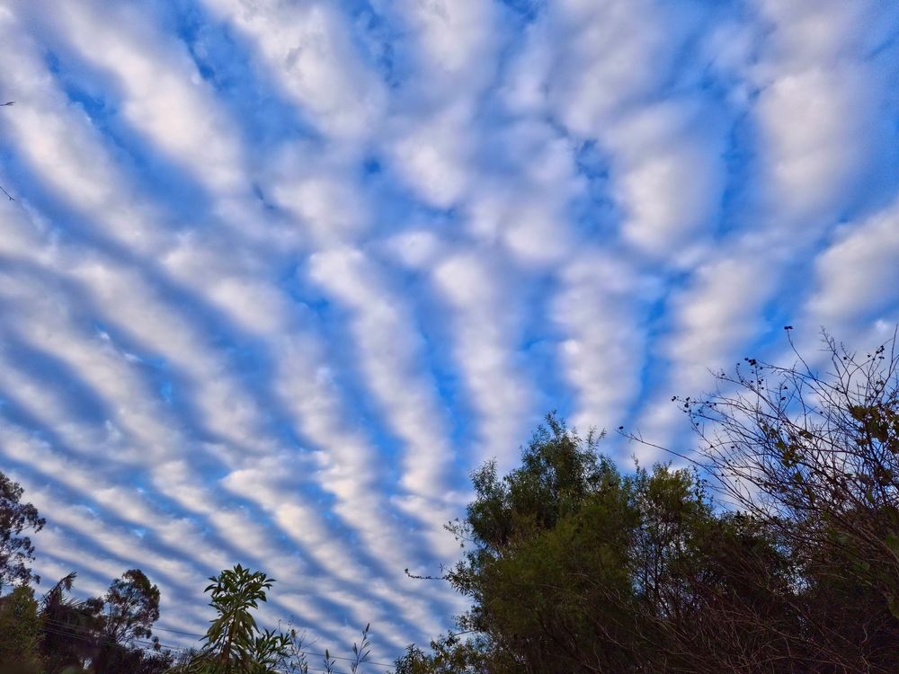 Rows of white cloud with blue sky between the rows.