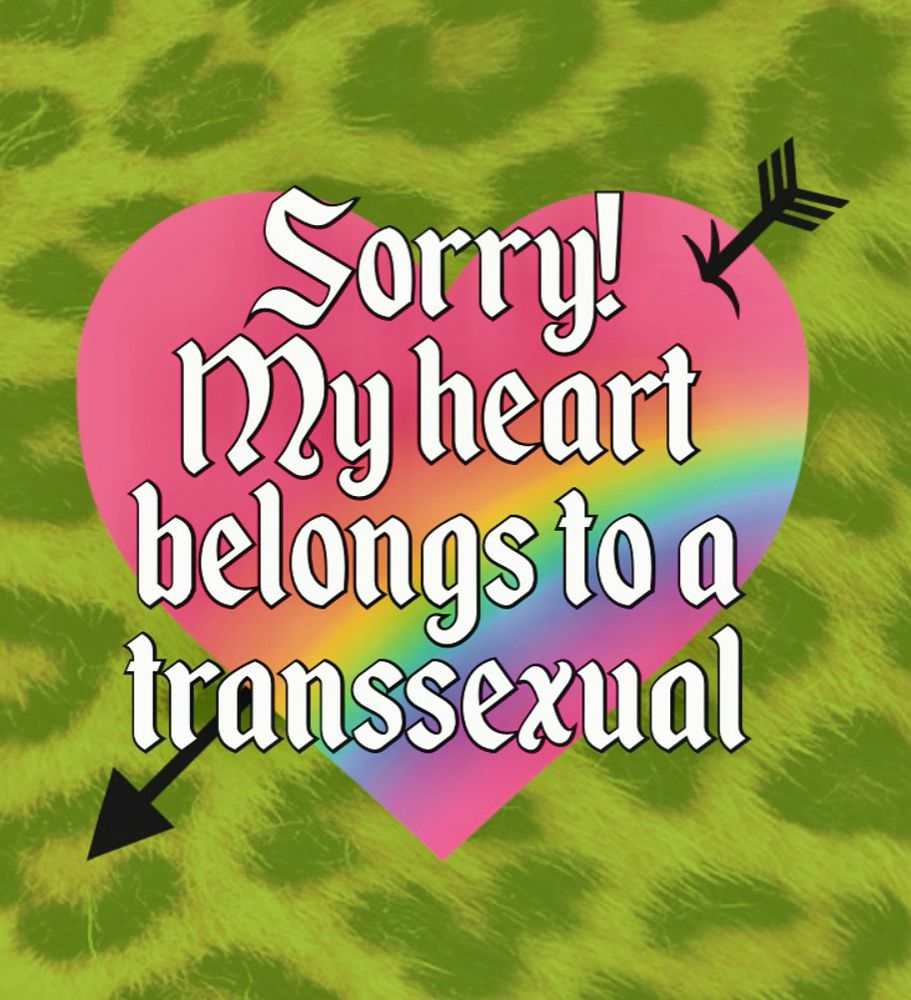 On a green-tinted leopard print background. A pink heart with an arrow throw it and an airbrush rainbow pattern. On top is a fantasy style white font with a black outline: “Sorry! My heart belongs to a transsexual”