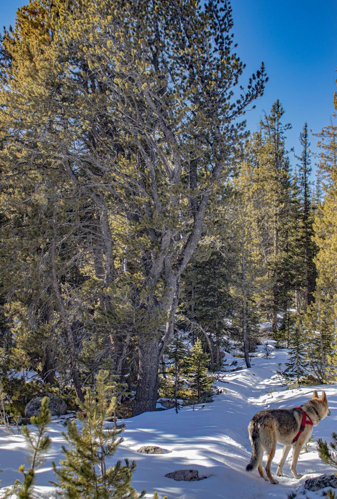 up here 2900m, so glad it'd got some traffic last weekend.