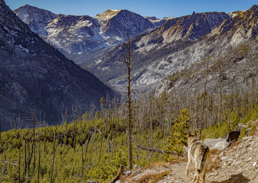 so sparse even highest elevations 3800m +. looking west into W-fork Canyon from 2600m on the return. westerly winds picking up, got out just in time. Possibly bit of new snow in here tomorrow and then Mon/Tue next week. Sure hope so. 