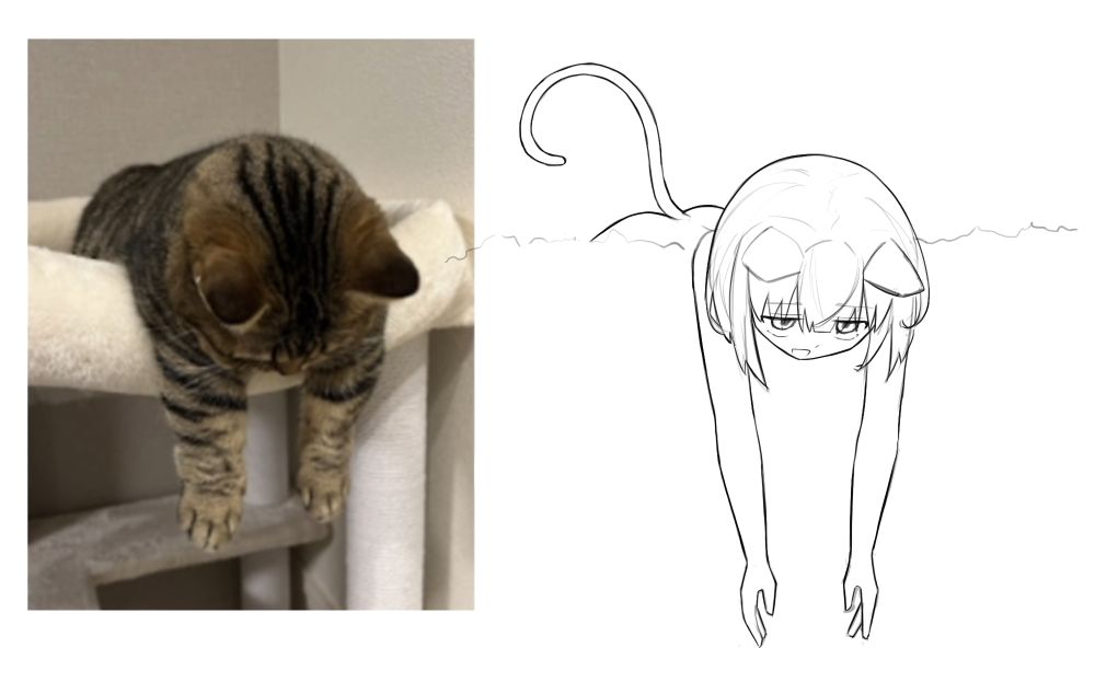 A study drawing of a cat... Turned into a cat girl