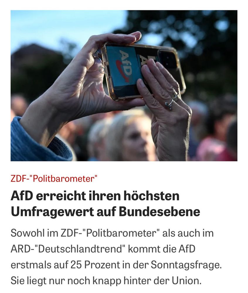 AfD ZDF-