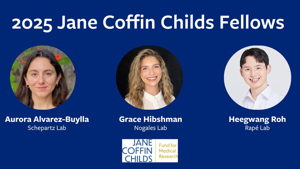 Jane Coffin Childs Fellows Aurora Alvarez-Buylla (Schepartz Lab), Grace Hibshman (Nogales Lab) and Heegwang Roh (Rapé Lab)