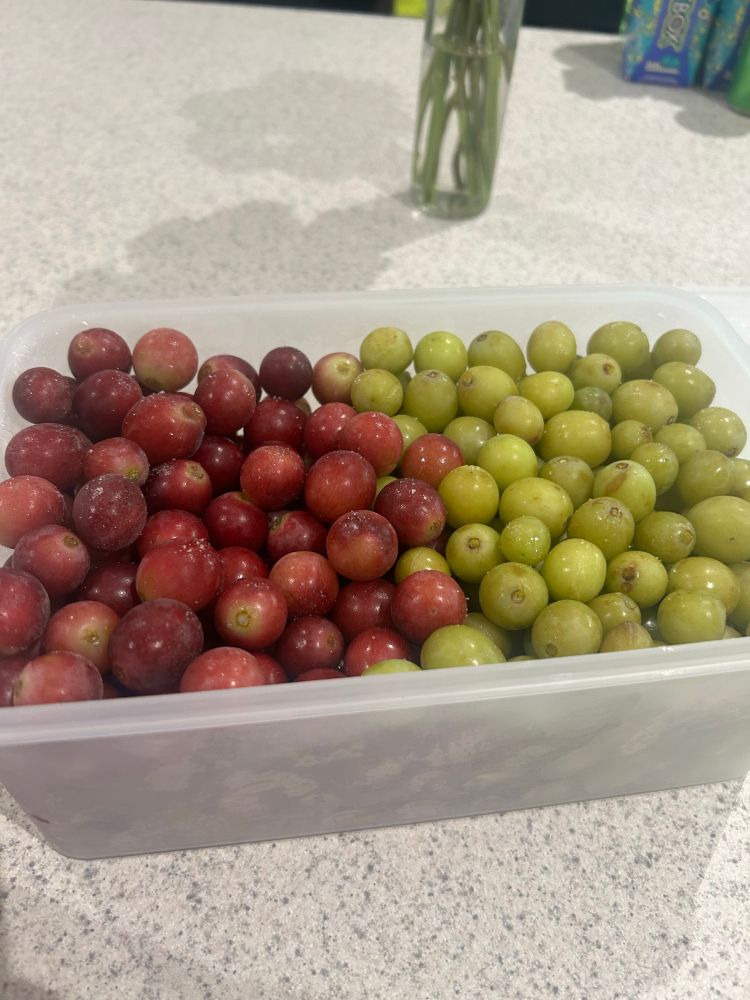 Frozen grapes! Super easy super yummy summer treat, I keep them stocked in the freezer during the hot months 