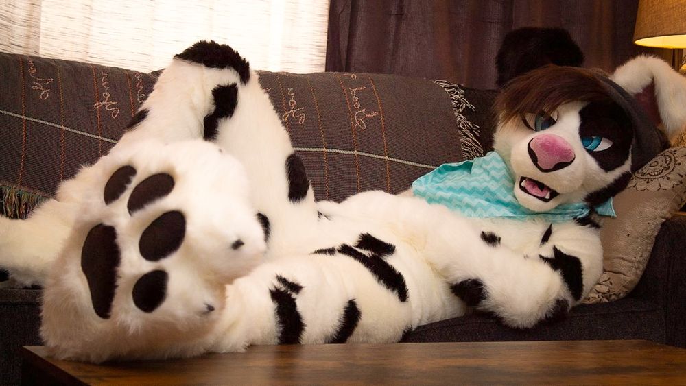 dally giving you his fursuit footpaw to worship :3