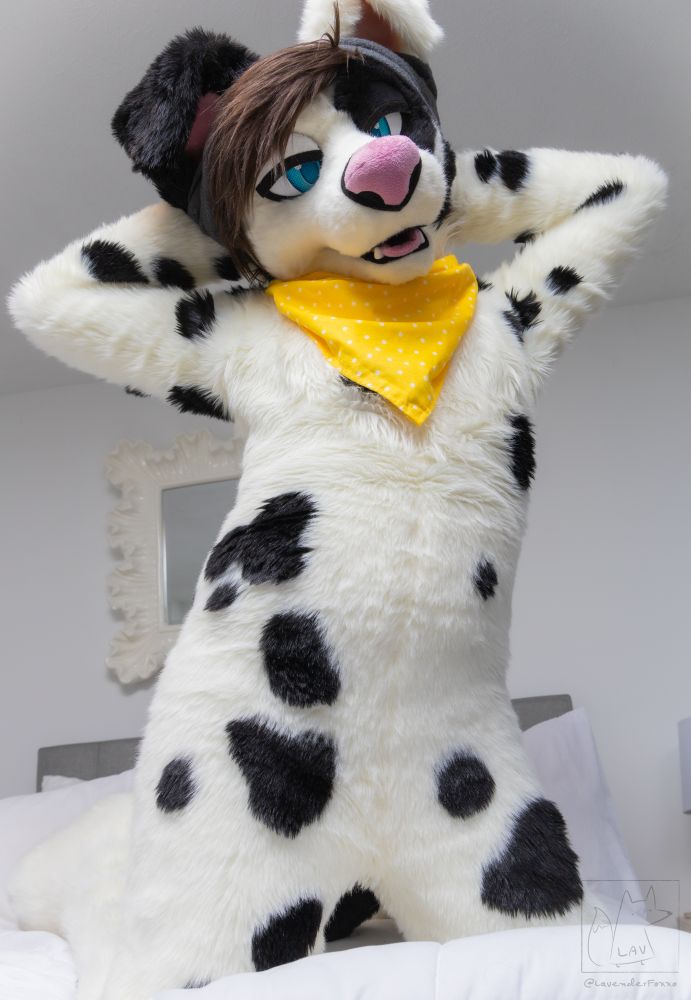 Hey there cute stuff~ Happy #FursuitFriday! Photo by LavenderFoxxo - Photo of Dally Doggo showing off his fluffy self for you. #fursuitfriday #footpawfriday #footpaws #paws #furries #furry #fursuit