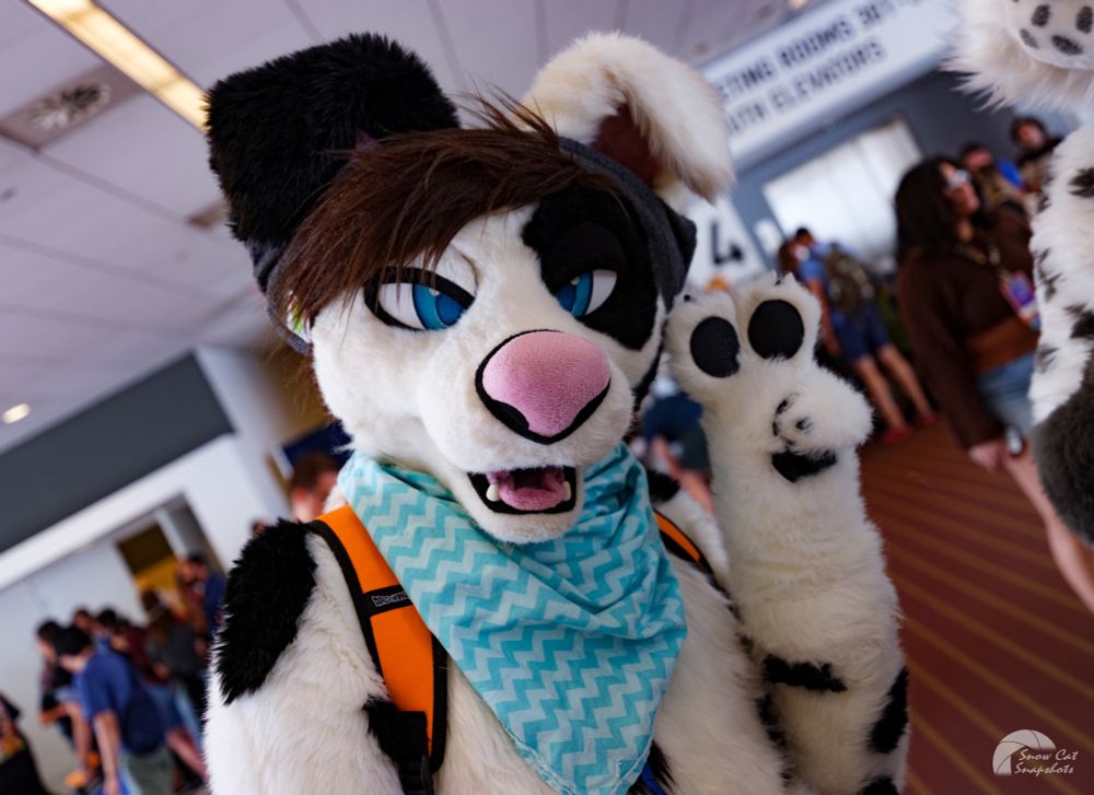 Dally Doggo Fursuit Friday Post Fursuit Footpaws FootpawFriday Paws 
