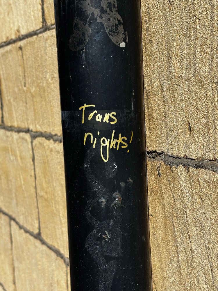 A black metal post on which someone has very correctly written “trans rights!” in gold ink