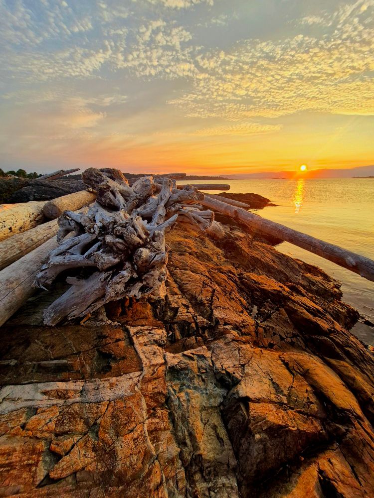 A rocky shoreline at sunrise on the coast of Vancouver Island. Golden light bathes the scenery in a beautiful glow.