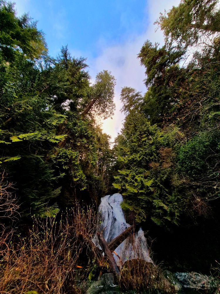 A waterfall flows through the forest trees, the blue sky above glows with golden sunlight. A beautifully peaceful scene.