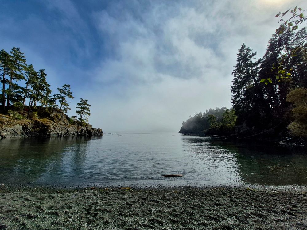 The coast is quiet, not even the ocean dare stir. The horizon is hidden, silently shrouded by the fluent fog as it creeps ever closer to shore. The cove is calm, lined with towering trees being gently enveloped by the misty visitors' embrace. A peaceful place to ponder.