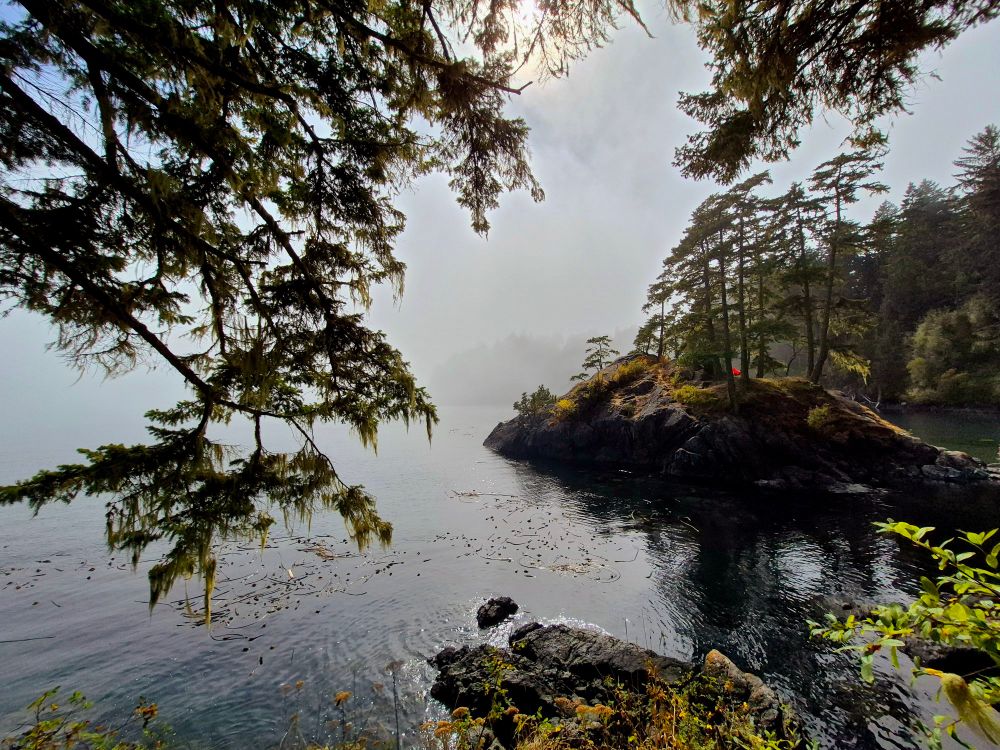 A view of the misty coast of Vancouver Island. A small island is seen in the bay with a hammock set up on top and a hiker taking a nap!