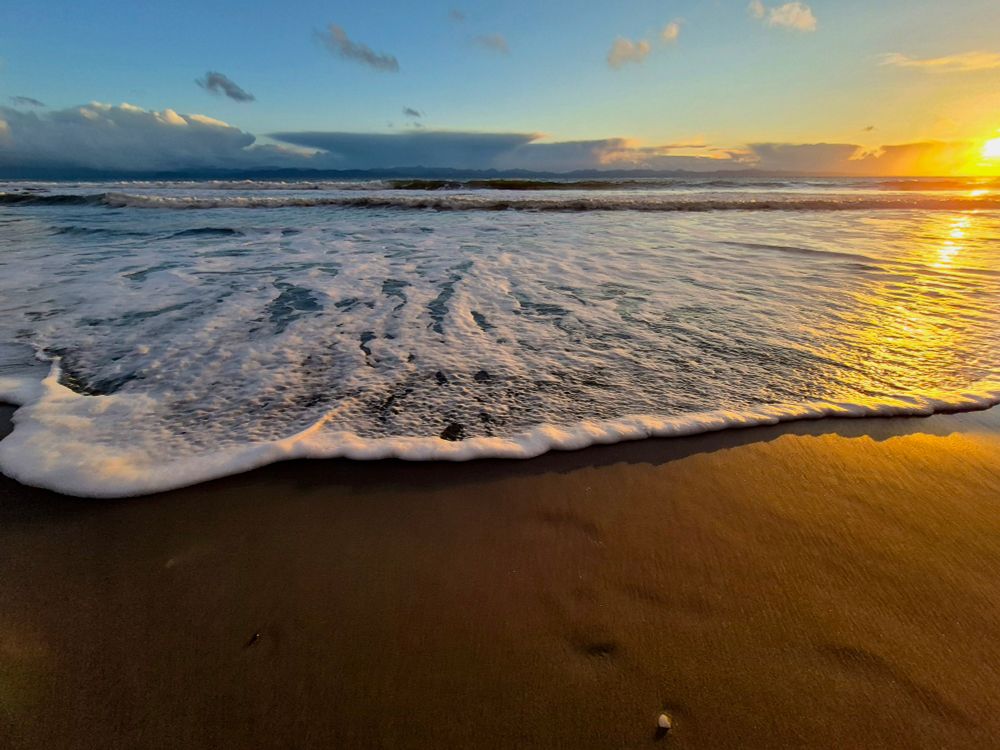 Sunset on the beach, a foamy wave rolls in gently. Everything colored in golden sunlight.