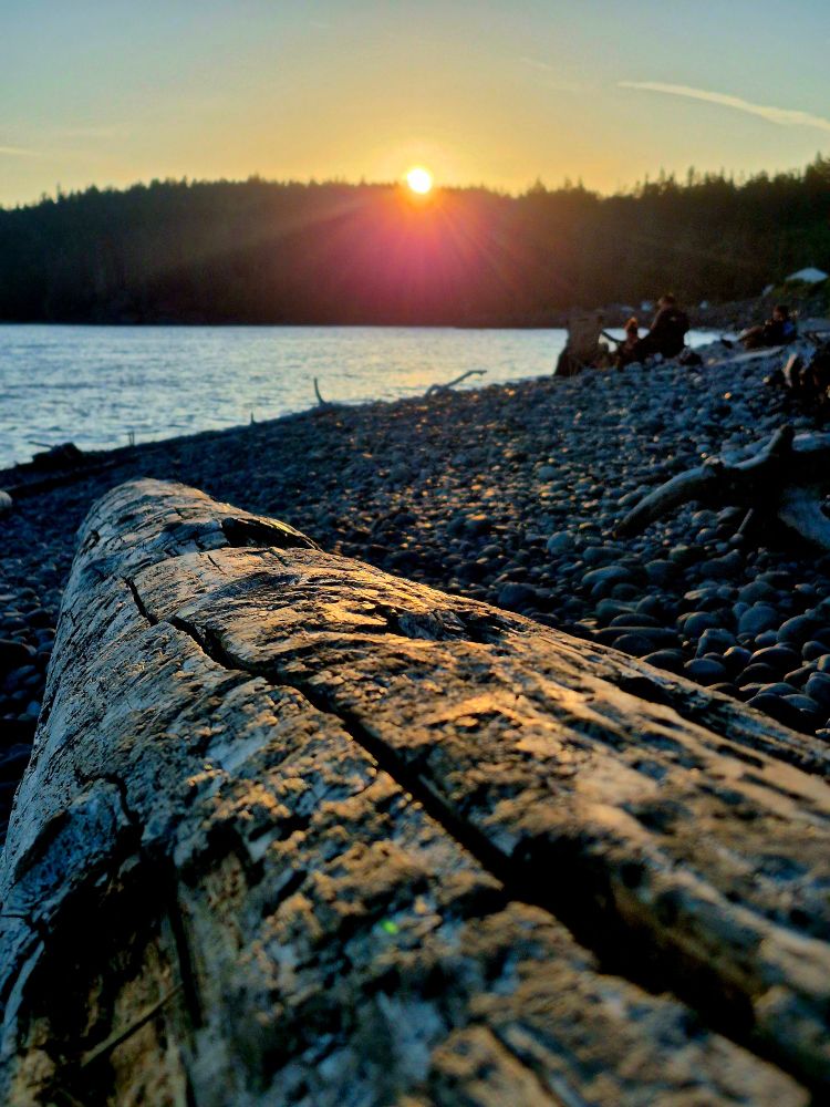 Sunset on the shore of Vancouver Island, the sun just touches the treeline. Golden light bathes the landscape.