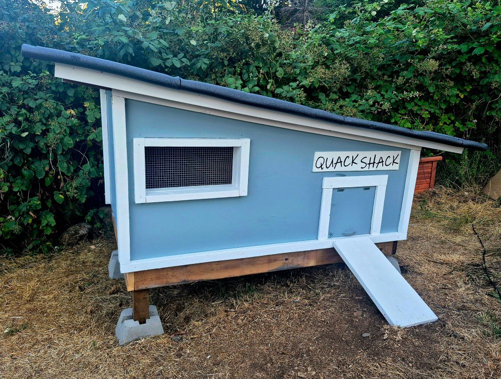 All finished the quack shack! The ducks new home that resides in our garden. 