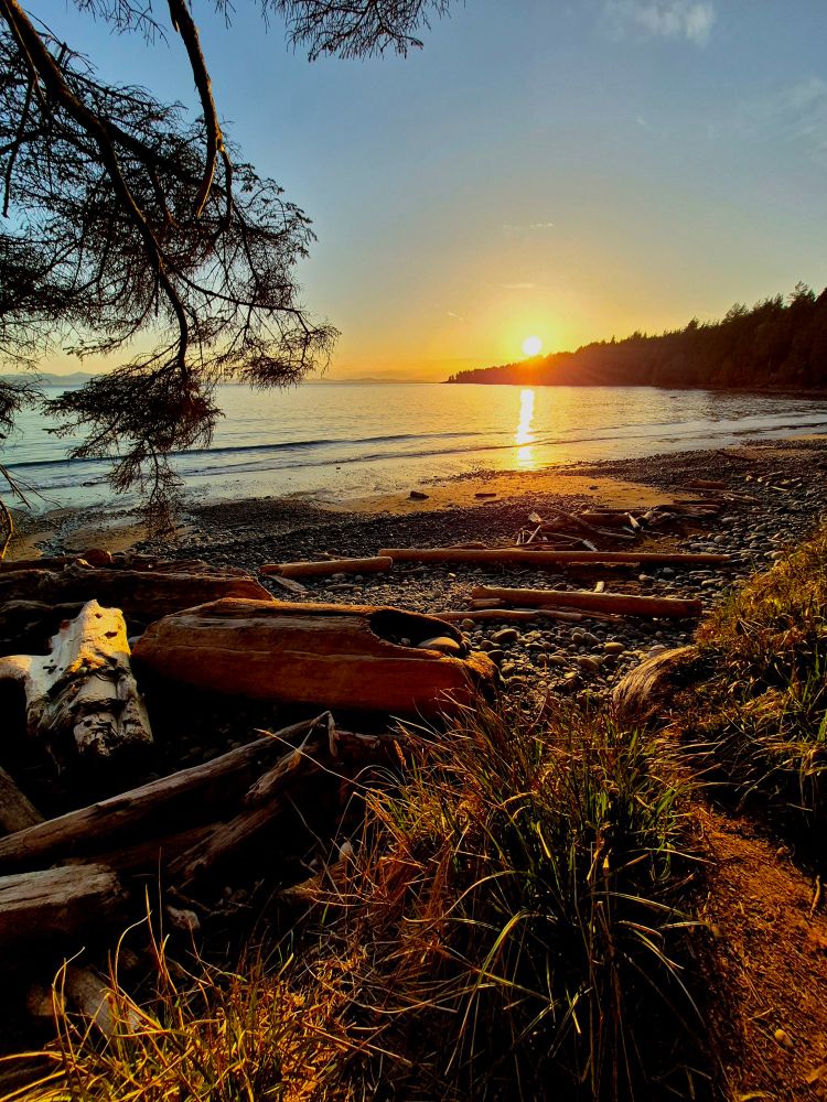 On this sun drenched beach, the day drips to an end. Where the lines between dreams and reality blend. Down the treeline, the sun slides, like a hot ball of butter. Melting into the sea and surfing atop the cold water. Waves of gold light, wash up onto the shore, a moment I wish I could visit once more. A beach bathed in beauty, a sunset soaked shore. Magical moments make memories mean so much more. 