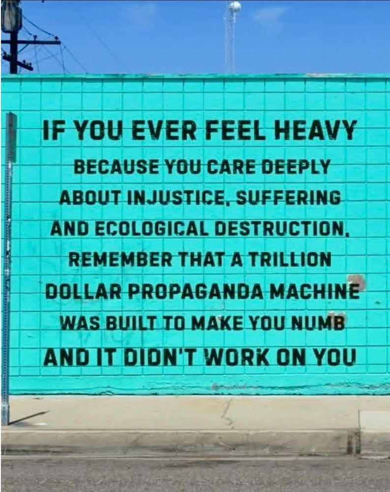 IF YOU EVER FEEL HEAVY BECAUSE YOU CARE DEEPLY ABOUT INJUSTICE, SUFFERING AND ECOLOGICAL DESTRUCTION, REMEMBER THAT A TRILLION DOLLAR PROPAGANDA MACHINE WAS BUILT TO MAKE YOU NUMB AND IT DIDN'T WORK ON YOU