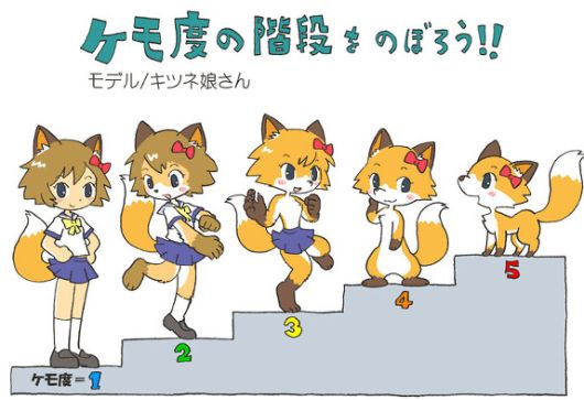 classic 'furry' scale. from 1 to 5. 1 being a fox girl with a tale and ears but otherwise who looks human. and 5 being an animal fox on all 4s. inbetween is a climbing scale of how furry shes getting. 