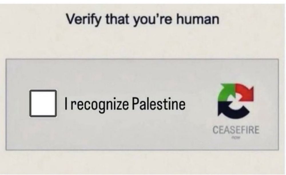 Test captcha : vérifiez que vous êtes humain en cochant « je reconnais la Palestine »