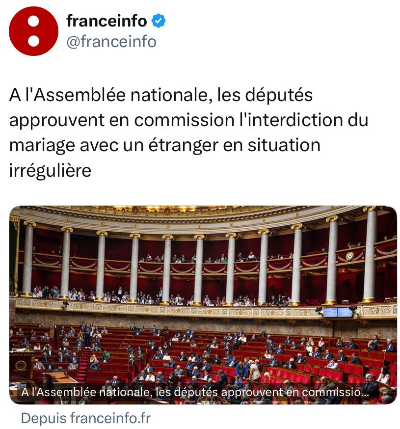 Franceinfo : A l'Assemblée nationale, les députés approuvent en commission l'interdiction du mariage avec un étranger en situation irrégulière