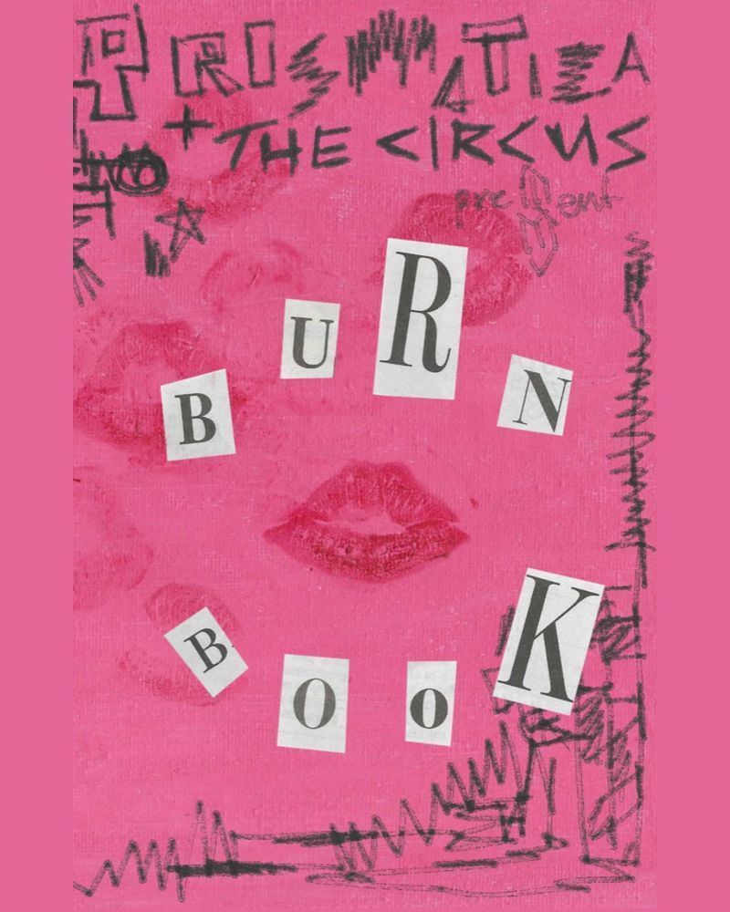 The cover for "Burn Book".