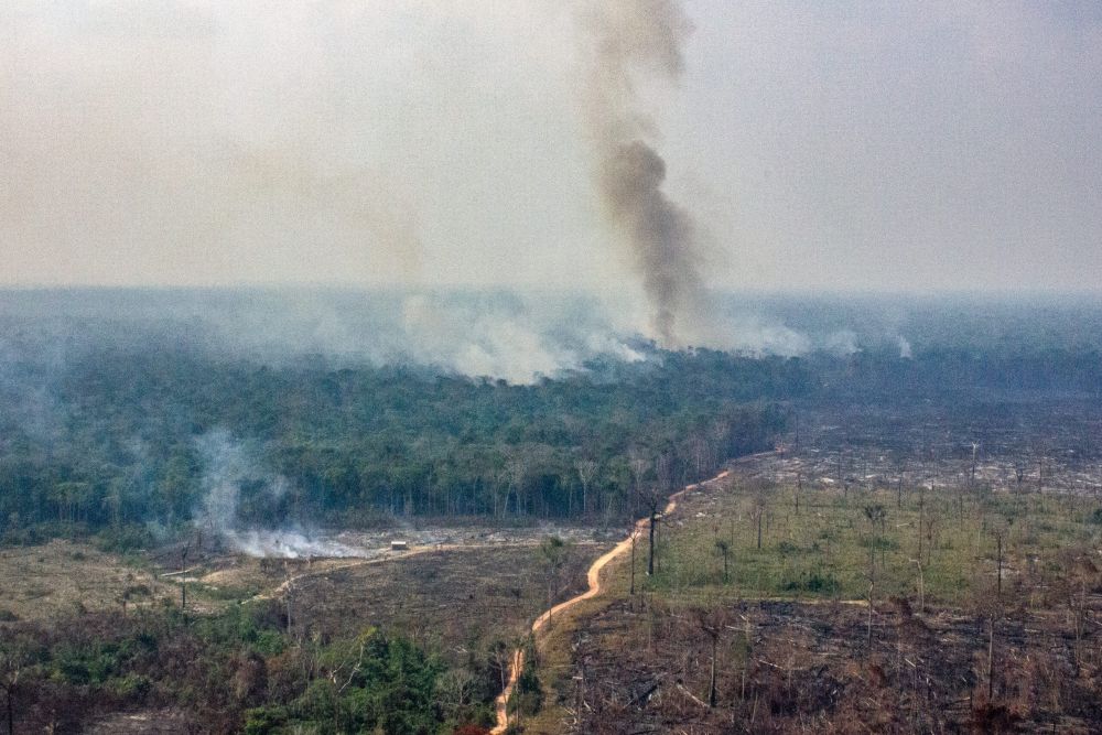 Fazendas com queimadas na Amazônia receberam R$2,6 bi em crédito rural