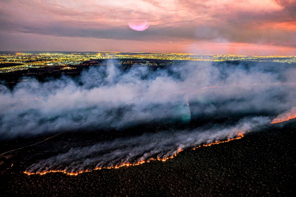 Brazil Is Burning and Agribusiness Must Be Held Liable