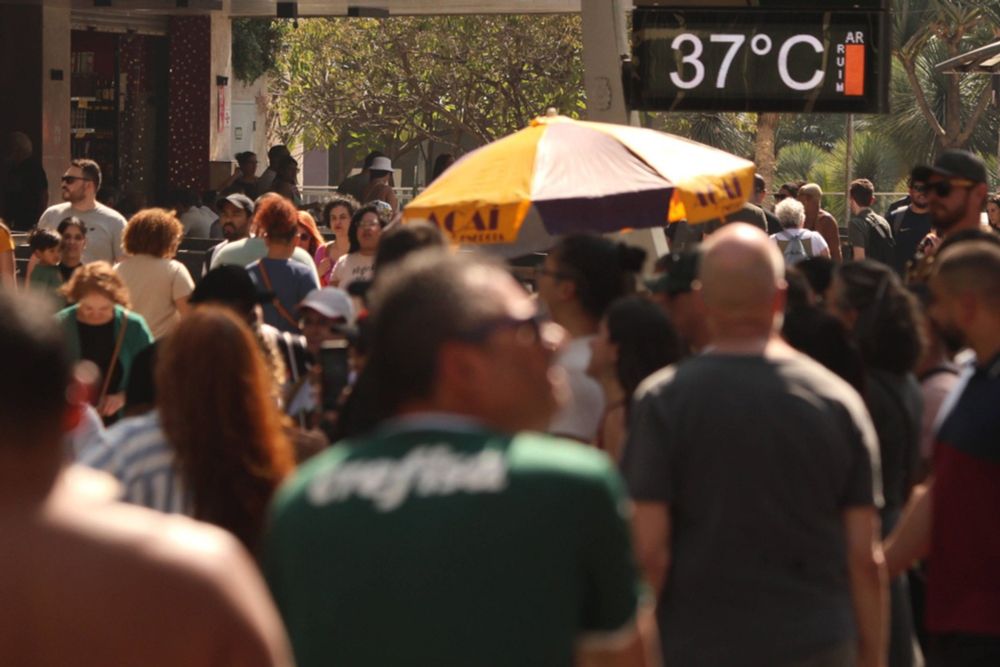 Mais de 200 cidades no Brasil têm umidade menor ou igual à verificada em desertos como o Saara; veja lista