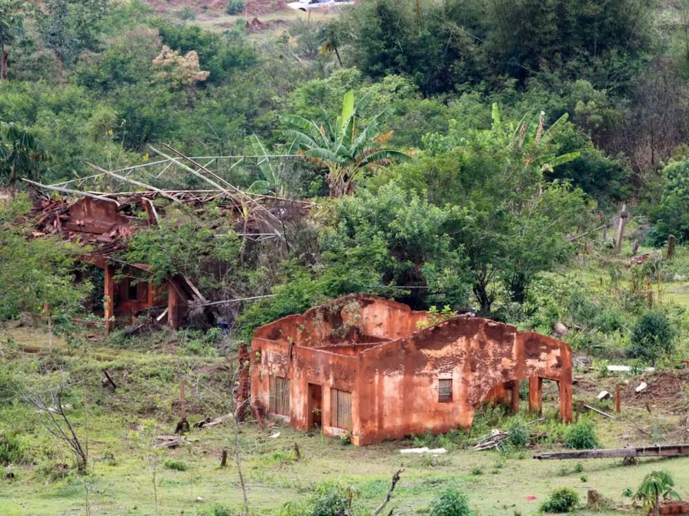 Dino suspende pagamentos ad exitum de Brumadinho e Mariana a escritórios estrangeiros