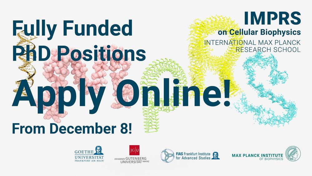 Applications for the International Max Planck Research School on Cellular Biophysics are now open! 🎉