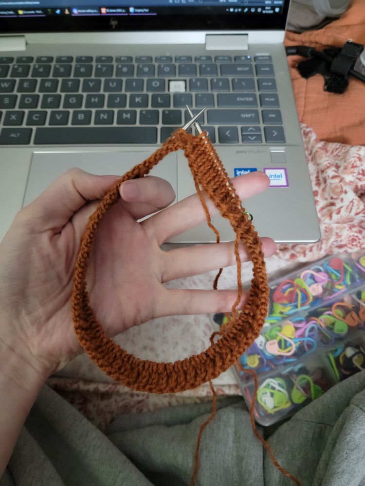 A hand holding a circular knitting needle that measures 14 in with 120 stitches cast on in rust colored yarn