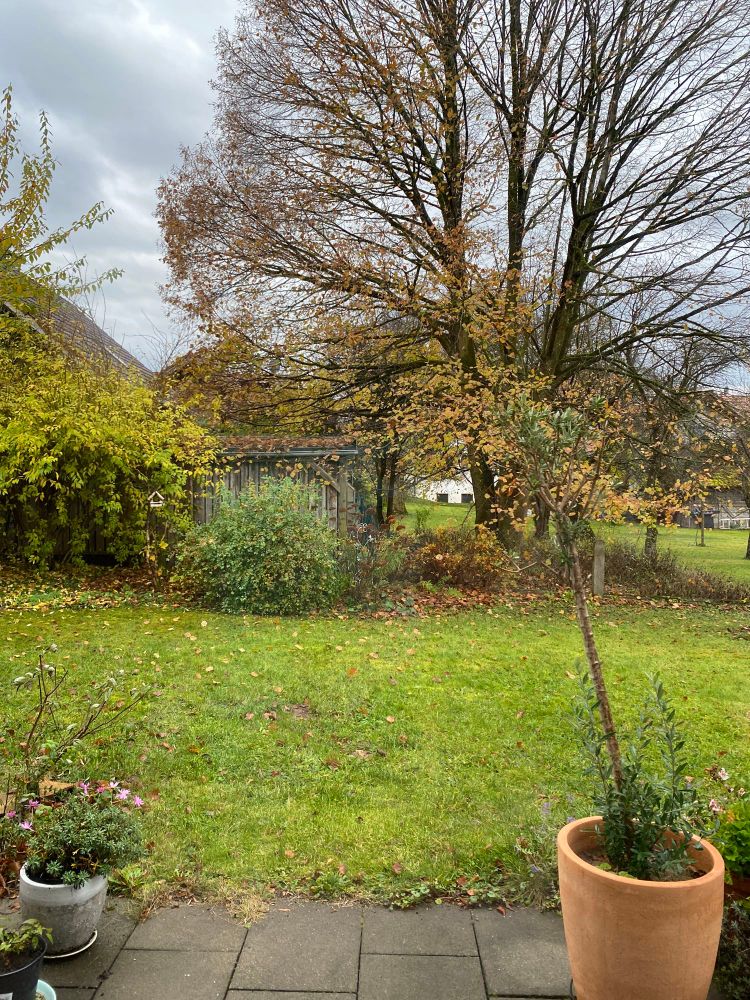 Garten im Herbst 