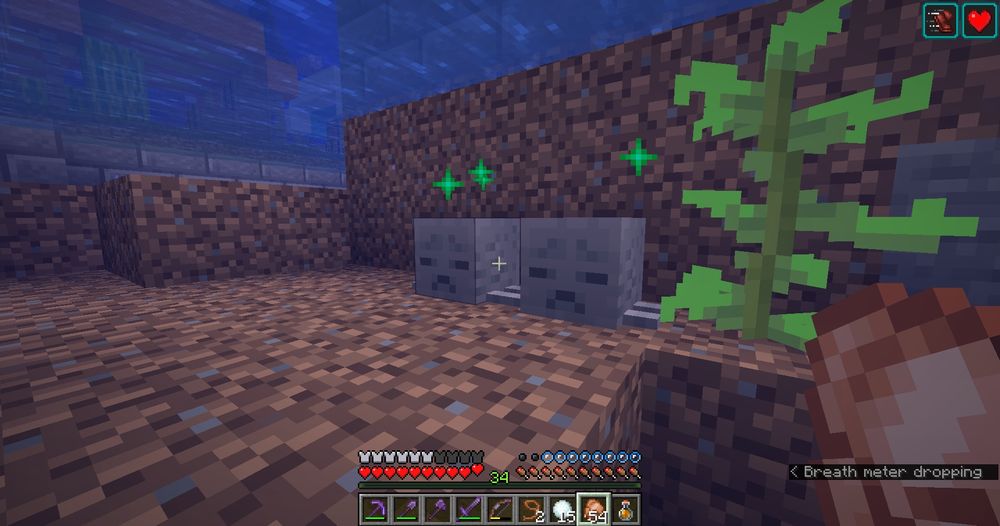 Underwater screenshot in Minecraft!