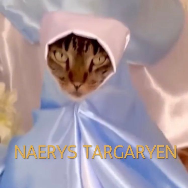 gata religiosa da espécie anya taylor joy targaryen naerys santa alia da faca