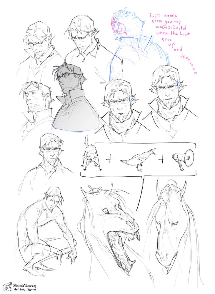 A dense pack of digital sketches, the subject of them being Pegasus in both human and Pegasus forms. Top half of image is warm-up sketches. The hand-written magenta text says "I wanna show you my world, where the beat goes up and down" which is a lyric of Elevator Operator by Electric Callboy. The bottom half of the image are wind-down sketches. One of them tries to illustrate the vocalizations of Pegasus (a mix of cat screams and seagull honks, on a megaphone). All but one sketch are portraits.
