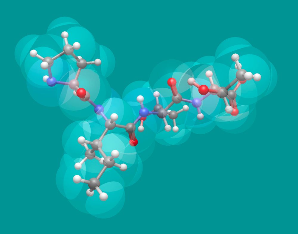 Molecular rendering of a tetrapeptide with translucent van der Waals spheres and balls-and-sticks backbone