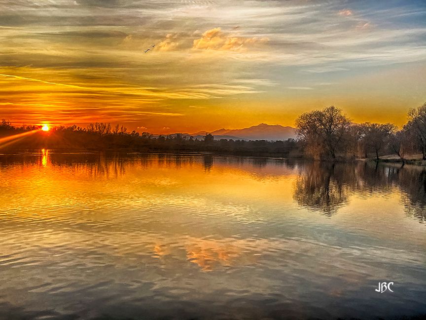 the sun sets with dramatic flare behind the trees along the big pond & reflects on its rippled surface at Lema Ranch on 1/2/22. the Trinity Mountains are in the far background.
also this: if I used A.I. to create images, I'd state that fact.