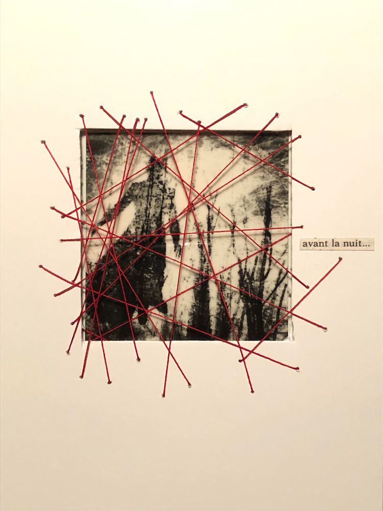 Experimental mixed media : a black and white Polaroid showing human and plants silhouettes. White cardboard and stitched red thread. 