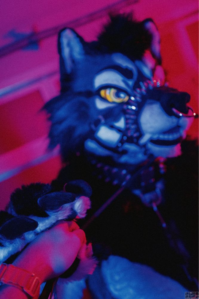 A picture of a werewolf in chains