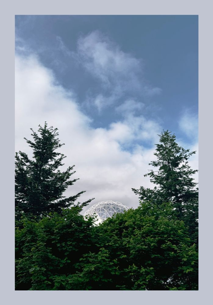 A white geodesic dome peeks above a dense canopy of green trees, framed by two tall evergreens under a partly cloudy blue sky.