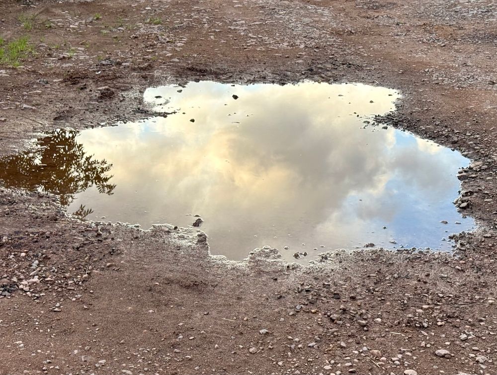 clouds in a puddle 
