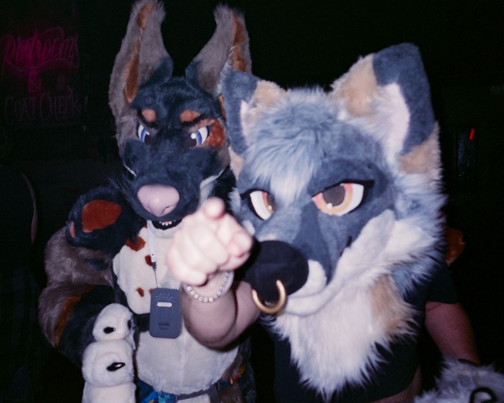 a fox partial fursuiter reaches forwards and points his finger at you. A doberman full fursuiter is in the background