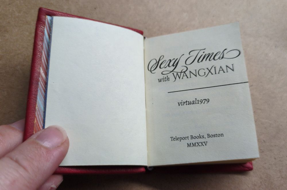 The title page says "Sexy Times" in a script font with flourishes, then "with" in a basic italic serif font, then "Wangxian" in Cinzel Decorative. The author is virtual1979 and at the bottom of the title page is says "Teleport Books, Boston / MMXXV"