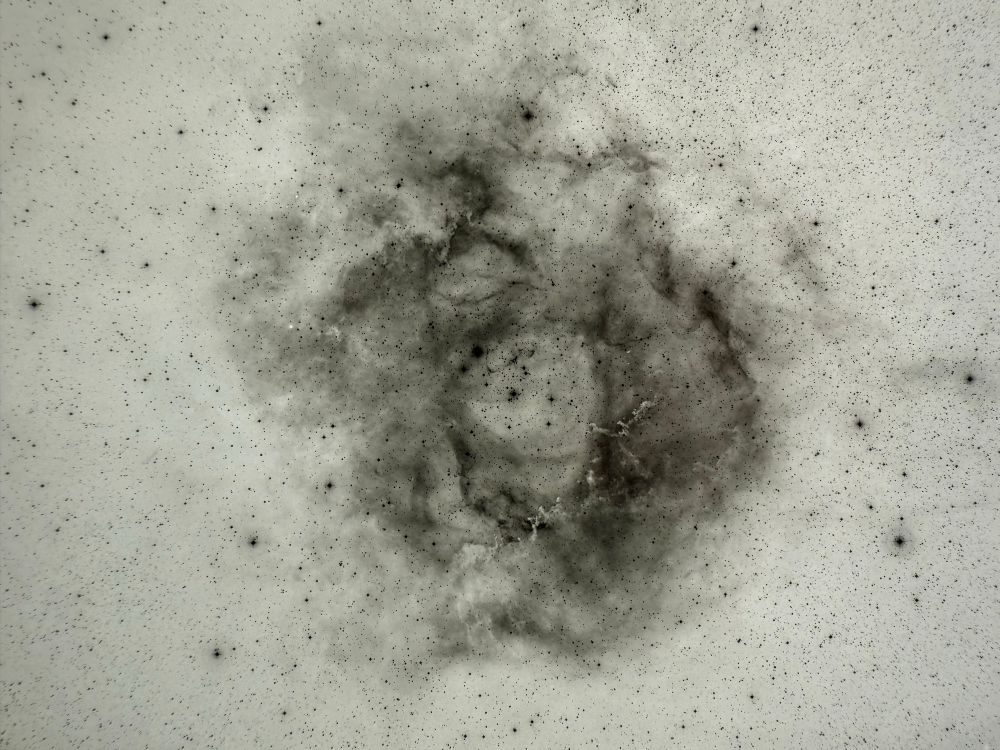 Negative image of the rosette nebula taken with the Palomar 48” Schmidt