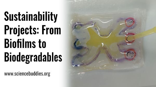 Microfluidic device from DIY student STEM project