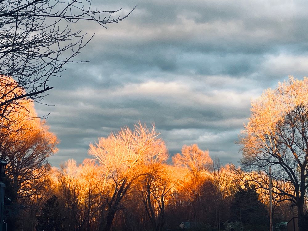 Sunset in front of my house 