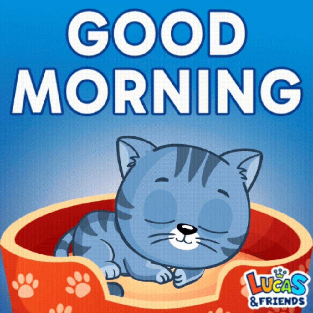 Morning Good Morning GIF