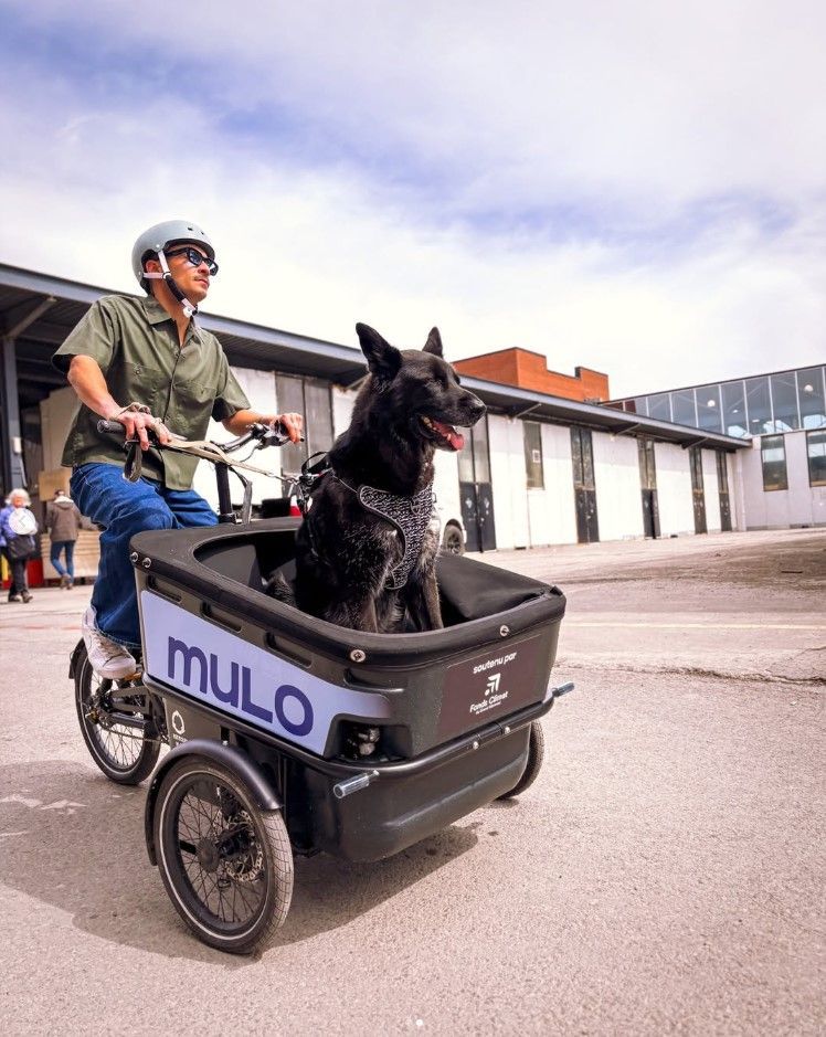 Un utilisateur du service Mulo transporte son chien en bakfiets. Photo : Mulo (Instagram).