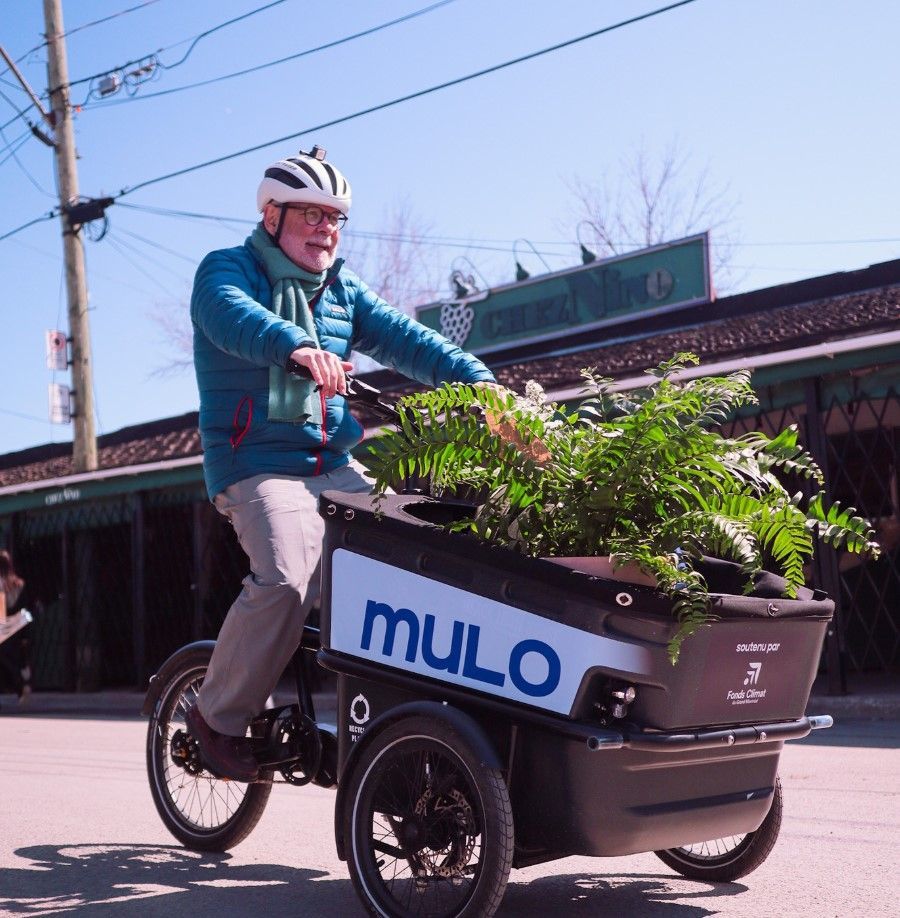 Un homme âgé transporte en bakfiets une plante qu'il a achetée au Marché Jean-Talon. Photo : Mulo (Instagram).